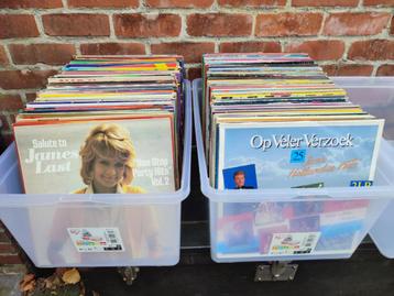 Lot van + 200 lp's beschikbaar voor biedingen
