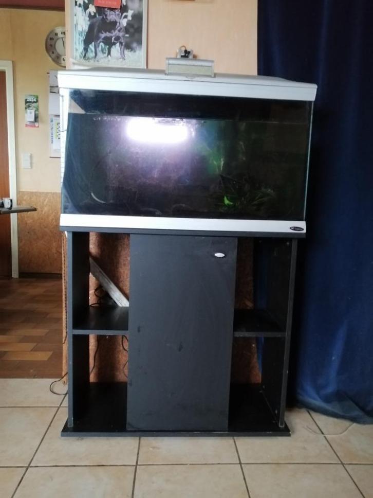 Aquarium plus meuble à vendre, Dieren en Toebehoren, Vissen | Aquaria en Toebehoren, Gebruikt, Overige typen, Ophalen
