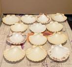 13 noix de saint Jacques., Divers, Produits alimentaires, Enlèvement ou Envoi