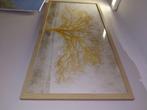 Tableau arbre, Huis en Inrichting, Ophalen, Zo goed als nieuw, Prikbord