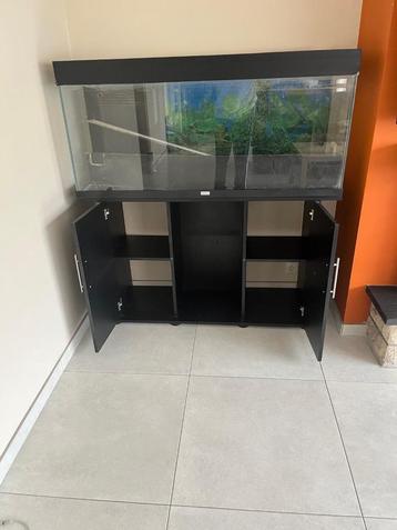 Aquarium 250l avec meuble et accessoires  beschikbaar voor biedingen