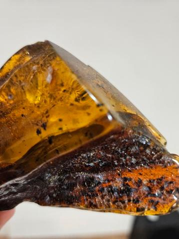 ruw Baltisch amber beschikbaar voor biedingen