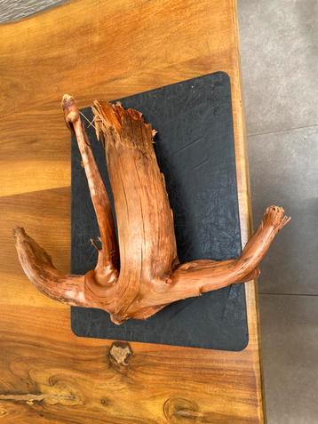 Aquarium hout heel mooi beschikbaar voor biedingen