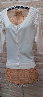 Vest maat 38 melvin, Vêtements | Femmes, Melvin, Enlèvement ou Envoi, Taille 38/40 (M), Autres couleurs