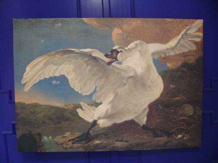 >>> DE BEDREIGDE ZWAAN <<< door JAN ASSELIJN  Dig op canvas, Antiek en Kunst, Kunst | Schilderijen | Klassiek, Ophalen