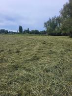 Gras op stam gevraagd., Zakelijke goederen, Ophalen