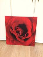 Canvas met mooie rode roos, Huis en Inrichting, Ophalen
