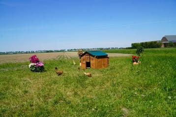 Trespa Kippenhok / Chalet L - Cucciolotta beschikbaar voor biedingen