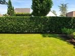 TUINONDERHOUD NODIG? IK HELP JE GRAAG, Diensten en Vakmensen, Tuinmannen en Stratenmakers, Hekwerk of Schuttingen