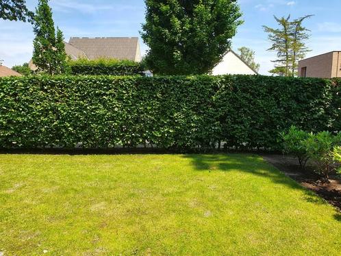 TUINONDERHOUD NODIG? IK HELP JE GRAAG, Diensten en Vakmensen, Tuinmannen en Stratenmakers, Hekwerk of Schuttingen, Tuin- of Vijveraanleg