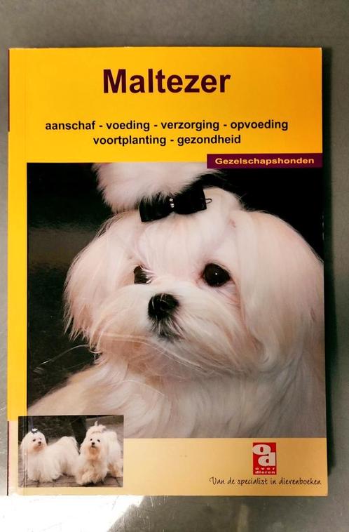 De Maltezer, Boeken, Dieren en Huisdieren, Zo goed als nieuw, Honden, Ophalen of Verzenden