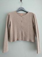 mooie gilet  Zara Knitwear maat 9 jaar, Kinderen en Baby's, Kinderkleding | Maat 134, Gebruikt, Meisje, Trui of Vest, Ophalen of Verzenden