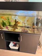 Grote aquarium met 2 pompen etc…, Dieren en Toebehoren, Vissen | Aquaria en Toebehoren, Ophalen, Zo goed als nieuw