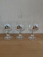 Bierglazen Ter Dolen, Verzamelen, Ophalen of Verzenden, Zo goed als nieuw