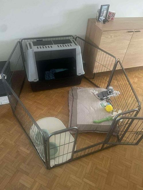 Puppyren – 8 panelen, stevig en praktisch, Dieren en Toebehoren, Hondenhokken, Zo goed als nieuw, Ophalen