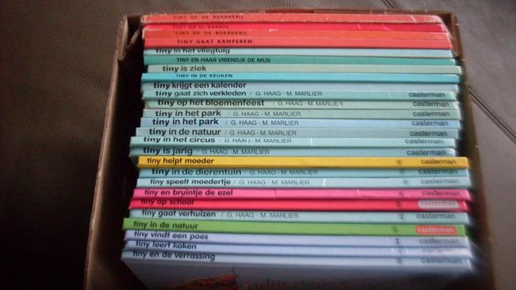 Tiny boeken, Boeken, Kinderboeken | Jeugd | onder 10 jaar, Gelezen, Ophalen of Verzenden