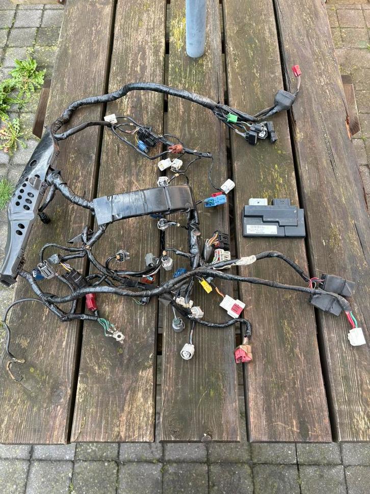 Honda HRC ECU+KABELBOOM, Motoren, Onderdelen | Honda, Ophalen