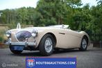 Austin-healey 100 1954| Route 66 Auctions, Auto's, Overige merken, Cabriolet, Beige, Bedrijf
