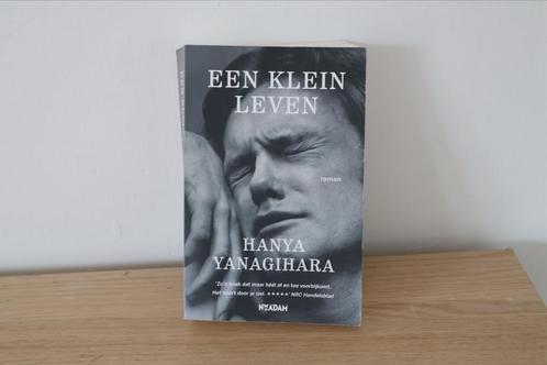 Hanya Yanagihara - Een klein leven, Boeken, Literatuur, Zo goed als nieuw, Ophalen