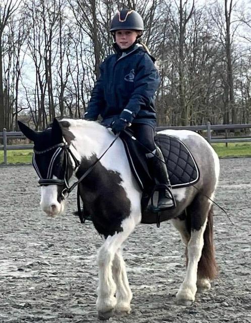 pony te huur / halve stal, Dieren en Toebehoren, Paarden en Pony's | Overige Paardenspullen, Zo goed als nieuw, Ophalen