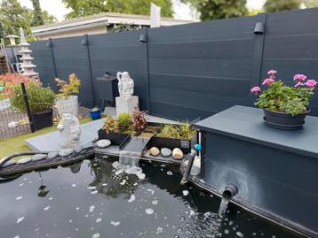 Bijver Plantenfiltervoor 8 planten volledig  gevuld 125/50cm beschikbaar voor biedingen