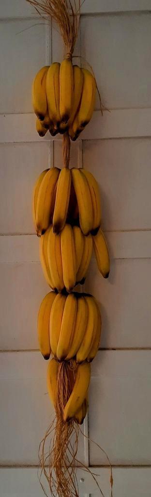 Decoratieve trossen kunstbananen  beschikbaar voor biedingen
