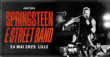 1 billet Bruce Springsteen, 24 mai, Lille, Tickets & Billets, Une personne, Mai