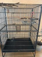 Vogelkooi + spullen, Dieren en Toebehoren, Ophalen, Zo goed als nieuw, Metaal, Vogelkooi