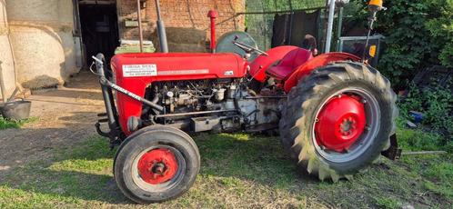 Massey Ferguson, Zakelijke goederen, Landbouw | Tractoren, tot 2500, Massey Ferguson, tot 80 Pk, Oldtimer, Ophalen