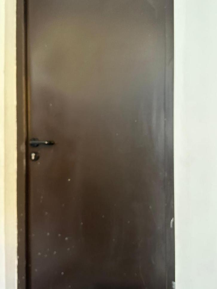 Stalen deur + kader, Doe-het-zelf en Bouw, Deuren en Vliegenramen, Gebruikt, Buitendeur, 200 tot 215 cm, 80 tot 100 cm, Metaal