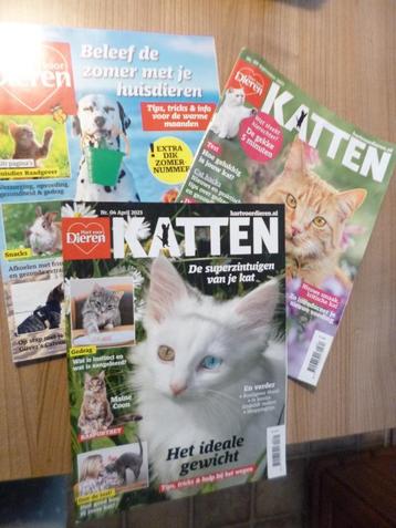 Hart voor dieren beschikbaar voor biedingen
