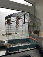 Deux perruches ondulées + cage et accessoires DON GRATUIT, Animaux & Accessoires, Oiseaux | Perruches & Perroquets, Femelle, Perruche