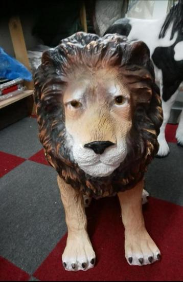 Leeuw beschikbaar voor biedingen