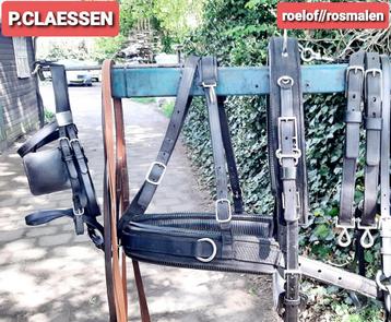 🔴-P.CLAESSEN-- PROF ONDERHOUDSVRIJ ENKELSPAN TUIG 500 €  🔴 beschikbaar voor biedingen
