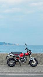 IK ZOEK EEN DAX DAT WILL RUILEN TEGEN MEN ZIP TYPE 3, Motos, Motos | Honda, Particulier