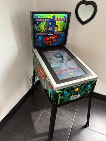 Flipper virtuel a l échelle 3/4 haunted house beschikbaar voor biedingen