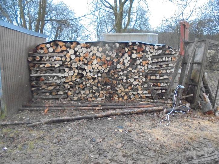 Bois de chauffage, Jardin & Terrasse, Bois de chauffage, Bûches, Autres essences de bois, 6 m³ ou plus, Enlèvement