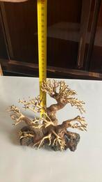 Bonzai voor aquarium, Dieren en Toebehoren, Ophalen, Nieuw, Plant(en), Steen of Hout