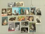 Lot gebruikte postkaarten van poezen en honden, Verzamelen, Postkaarten | Dieren, Gelopen, Ophalen of Verzenden