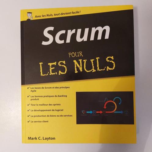 Scrum pour les Nuls, Boeken, Economie, Management en Marketing, Zo goed als nieuw, Management, Ophalen
