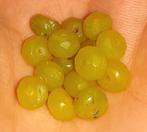 lot kralen 15 peridoot facet 6mm, Verzenden, Nieuw, Kraal