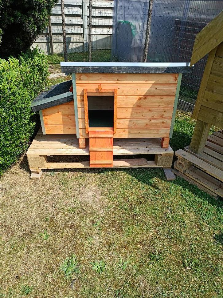 nieuw kippenhok pik/pak + automatische deur aan 59 euro, Dieren en Toebehoren, Pluimvee | Toebehoren, Nieuw, Kippenhok of Kippenren