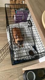 Hondenbench, Dieren en Toebehoren, Ophalen, Gebruikt