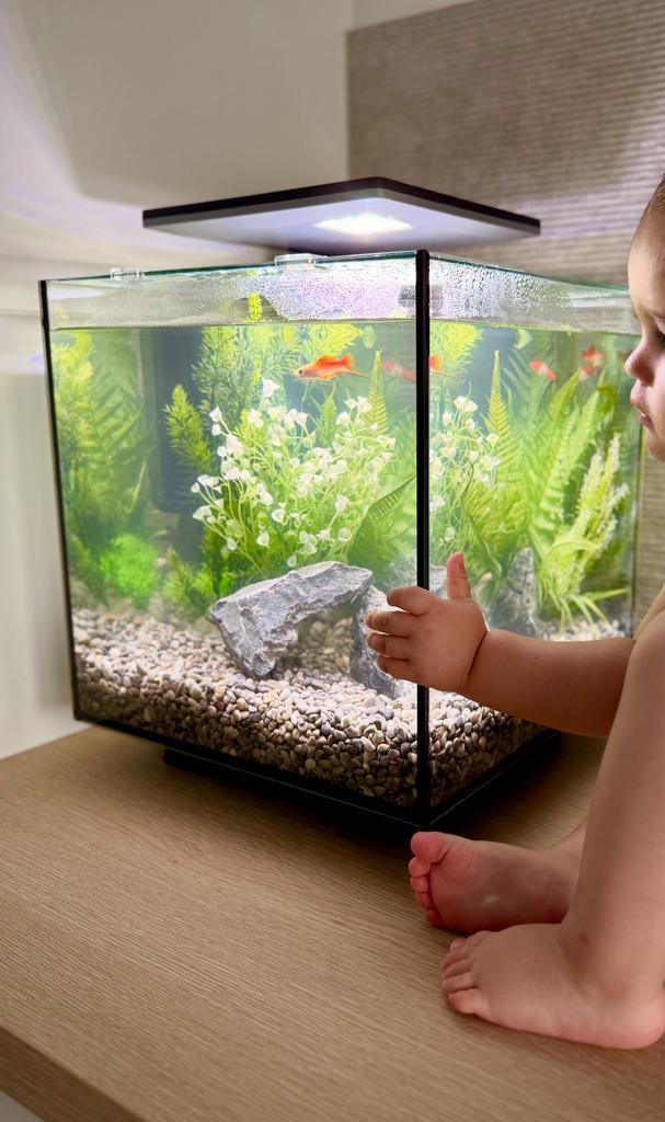 Aquarium Superfish qubiq met vissen en toebehoren, Dieren en Toebehoren, Vissen | Aquaria en Toebehoren, Zo goed als nieuw, Ophalen