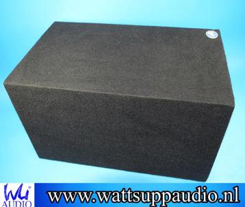  Rockford Fosgate Punch DVC 12 inch subwoofer / Bandpass beschikbaar voor biedingen