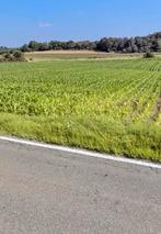 Terrain À Bâtir 5570 Beauraing !! 5440 M2 !!, Immo, 1500 m² ou plus