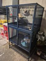 Frettenkooi, Ophalen, Gebruikt, Kooi, Konijn