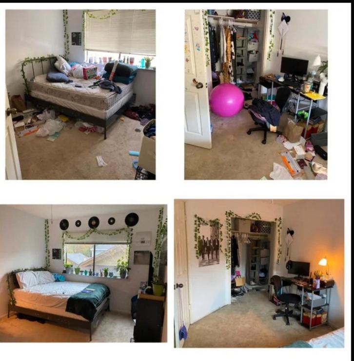 0485299237 leegmaken inboedel of tuin liefde voor ons werk, Diversen, Overige Diversen, Ophalen