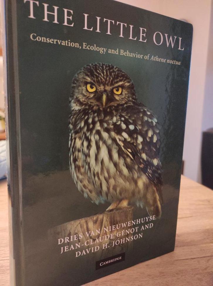 La petite chouette, Livres, Nature, Comme neuf, Oiseaux, Enlèvement ou Envoi