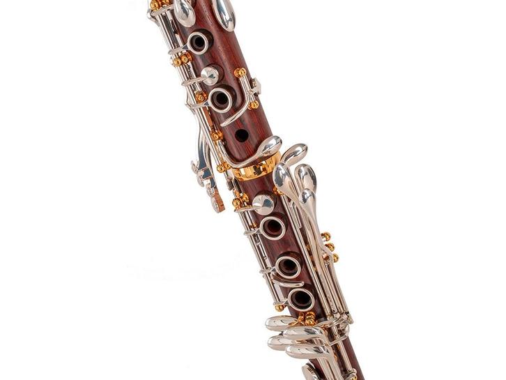 Clarinette Backun Protégé cocobolo 18 clés, Musique & Instruments, Instruments à vent | Clarinettes, Neuf, Clarinette en si bémol